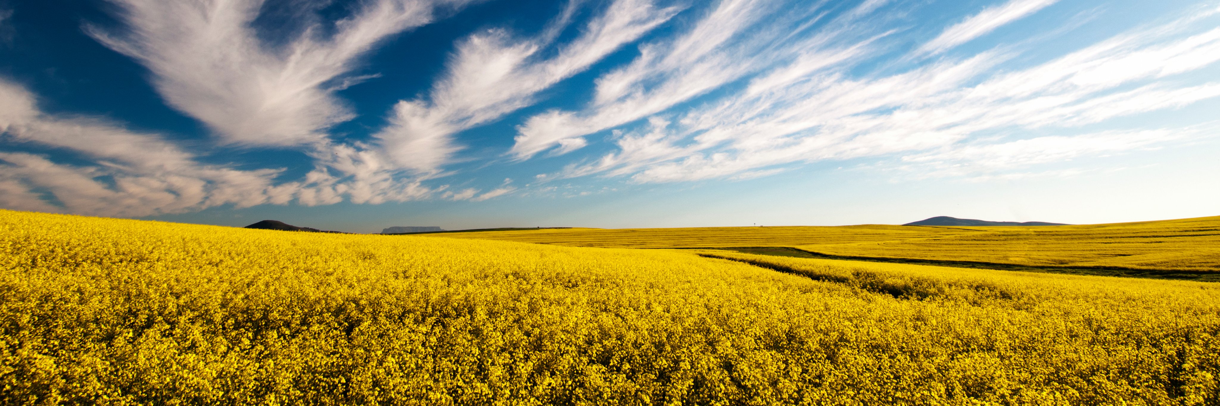 Sturgeon Valley Fertilizers Ltd. banner