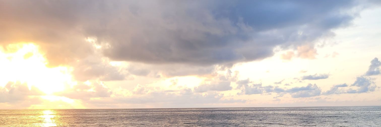 nwdm27's profile banner image