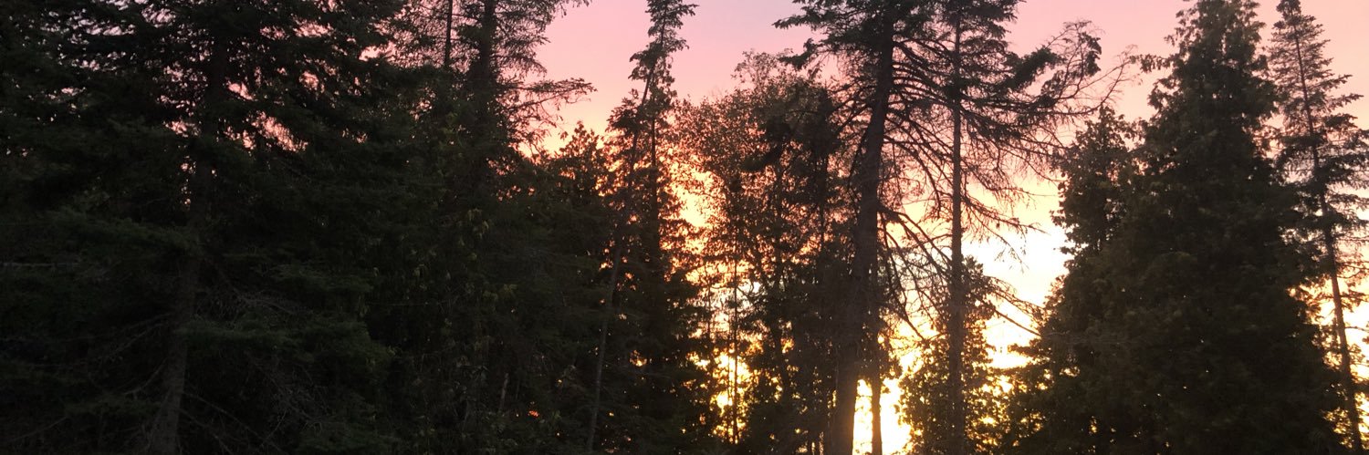 Schepisg's profile banner image