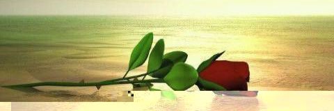 hiteisloved's profile banner image