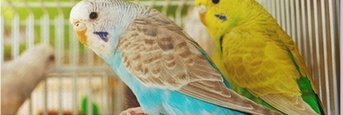 dechip2's profile banner image
