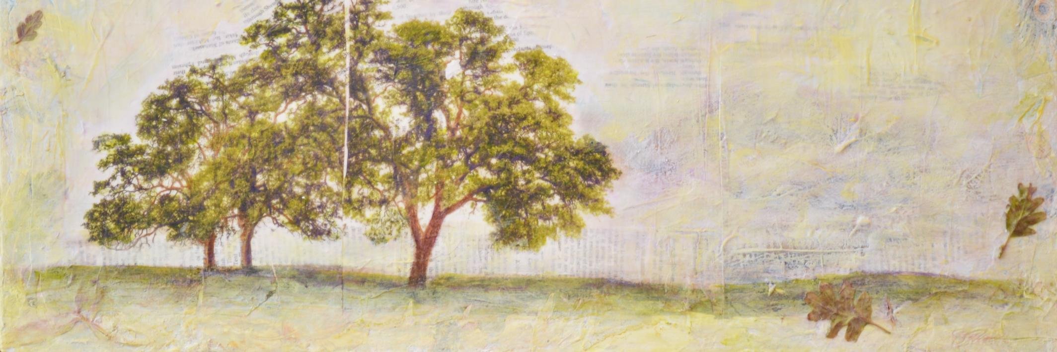 judithmonroe's profile banner image