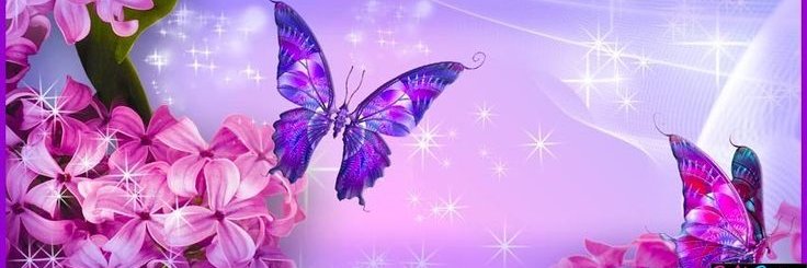 williownia's profile banner image