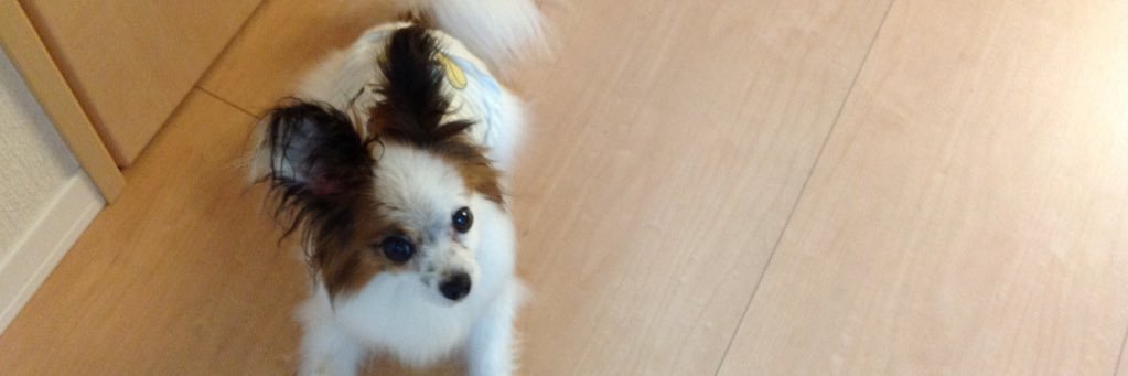 umeeeee1016's profile banner image