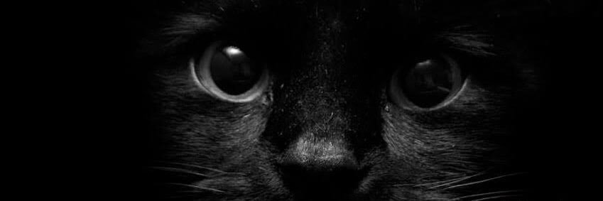 haktanbasak's profile banner image