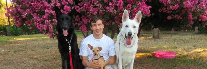 MasterDog22's profile banner image