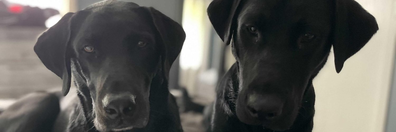 _AddieBorgh_'s profile banner image