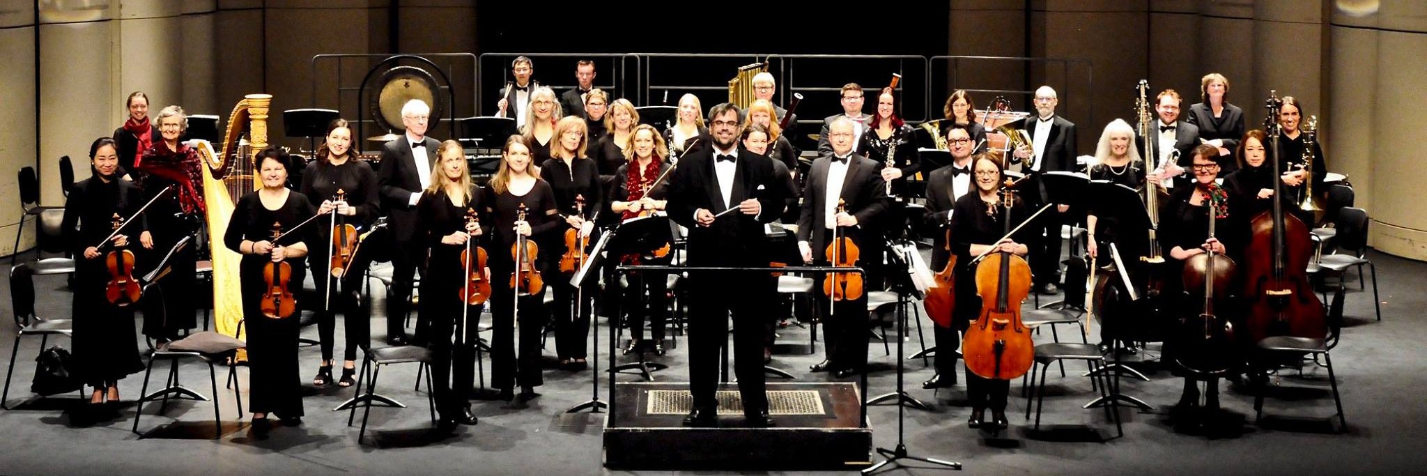 Red Deer Symphony Orchestra banner