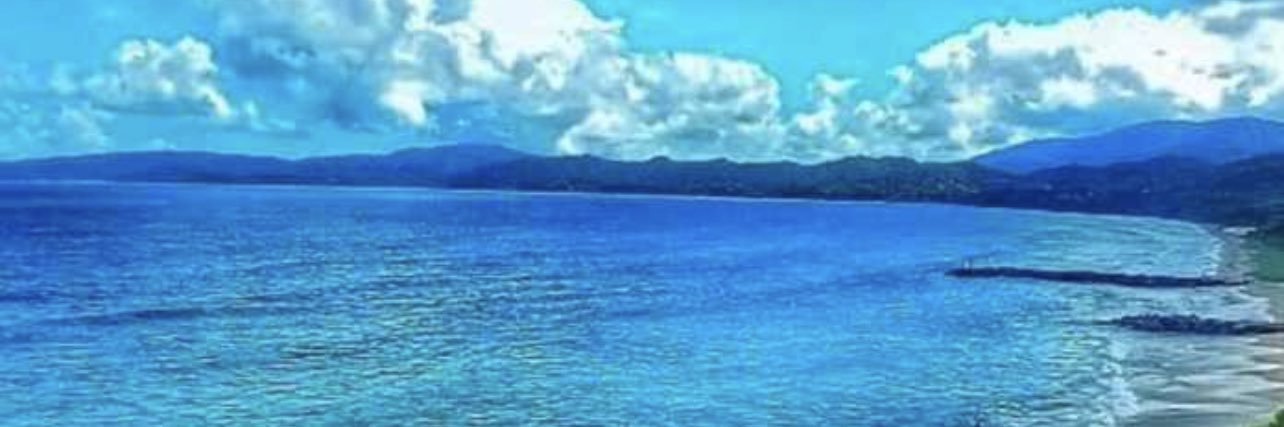 Kelvim Escobar's banner