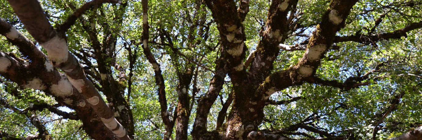 mathieulebre's profile banner image
