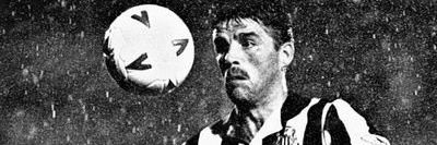 Vache banner