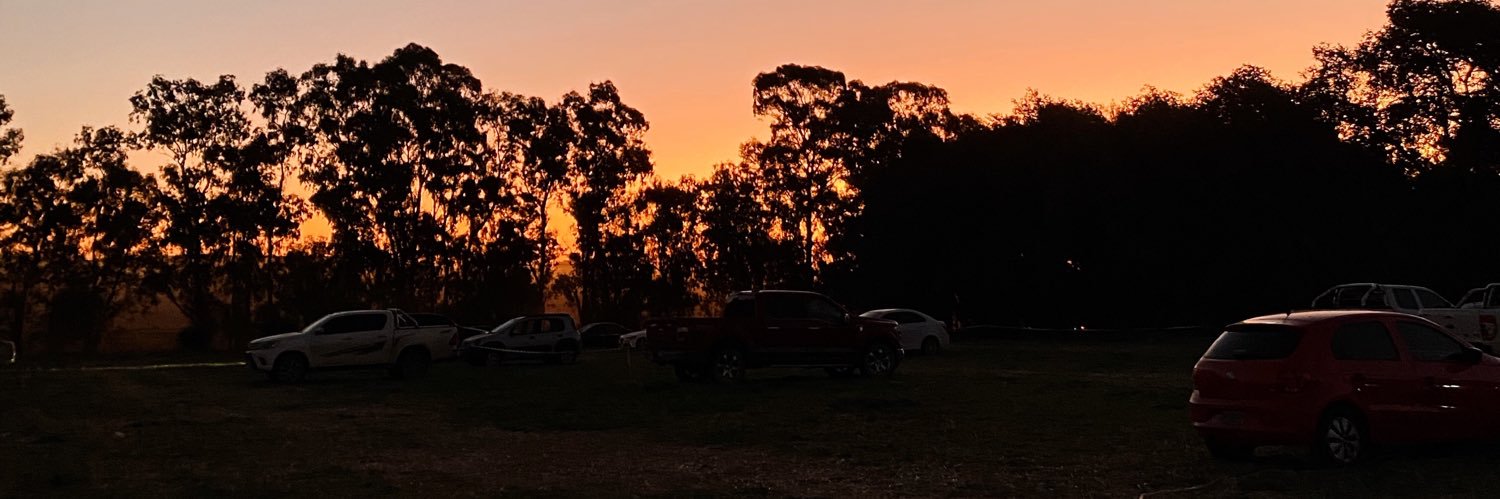 delfidmartino's profile banner image
