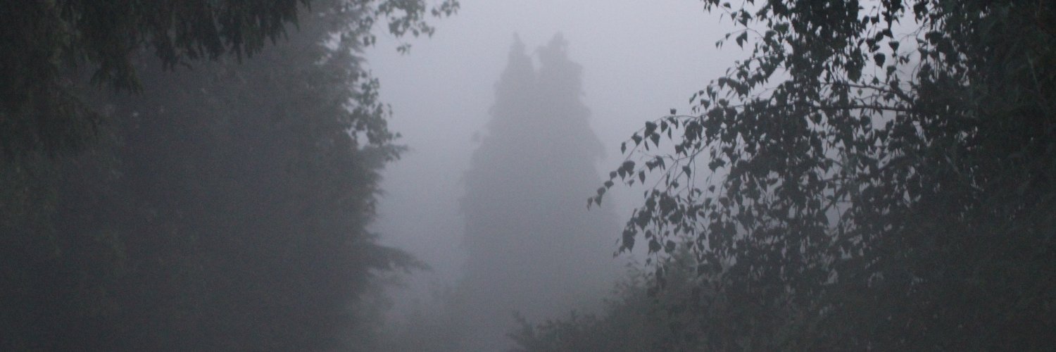 Stephen McKay banner