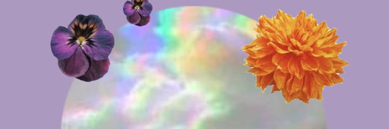 debs_dreaming's profile banner image