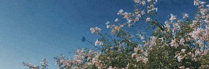 MariaMoya17's profile banner image
