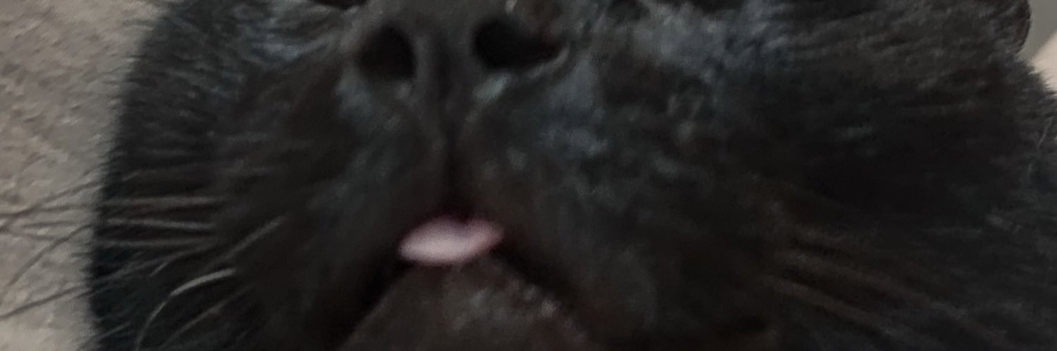 ul7rav's profile banner image