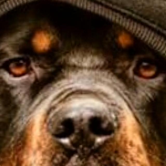 Gioachef80's profile banner image