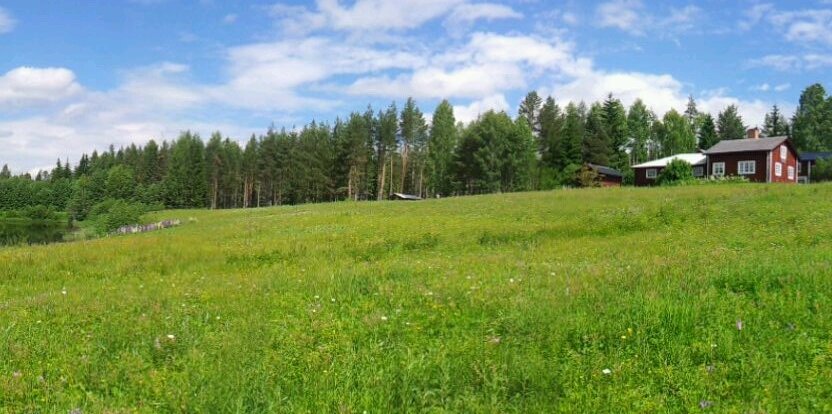 Ingela Törnkvist banner