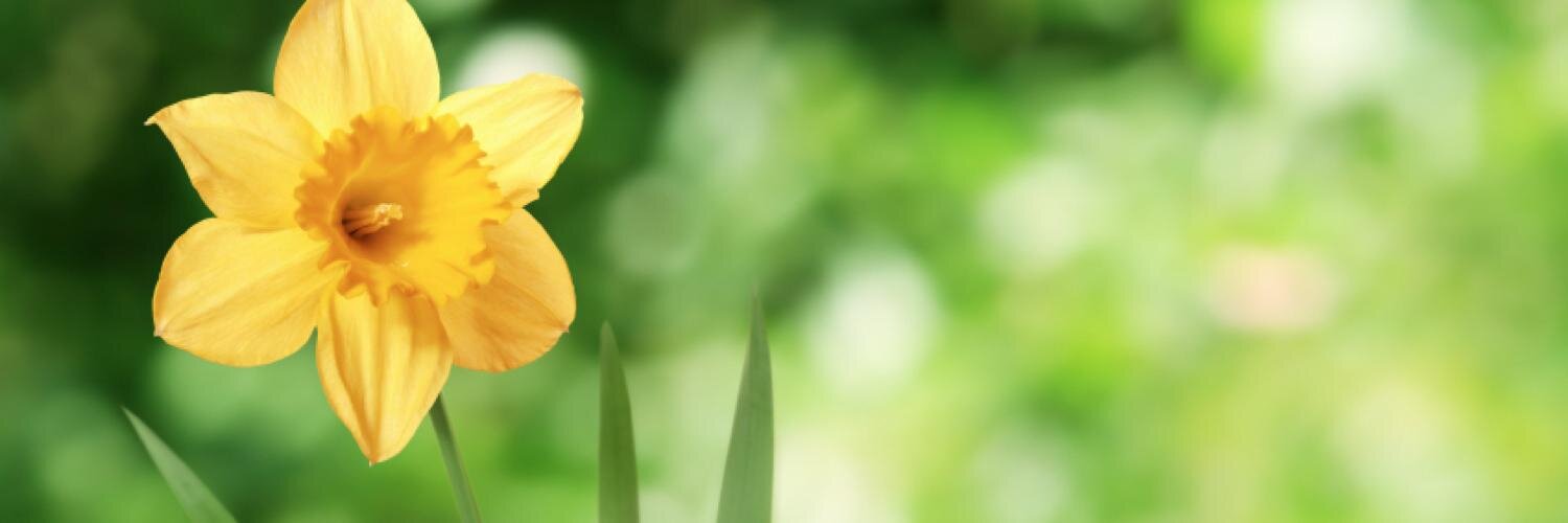 jemsand13's profile banner image