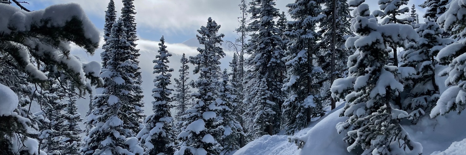 KatTobin's profile banner image