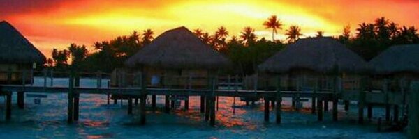 edself01 Profile Banner