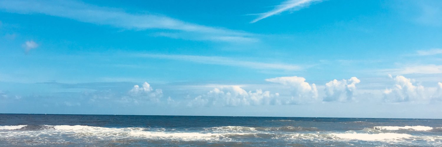 ericcorrales's profile banner image