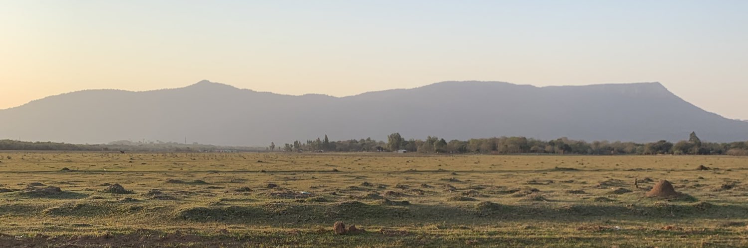 Bruno Defelippe banner