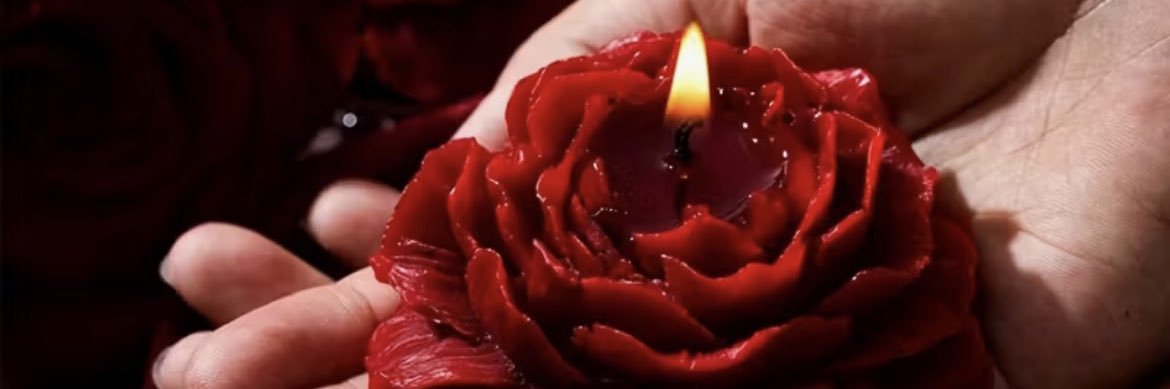 Ghada🦋غادة🌷 banner