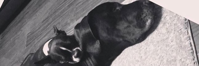 DaneeMeadows's profile banner image