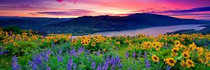 BeckerRachael's profile banner image