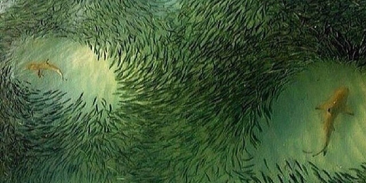 Goldylocks_17's profile banner image