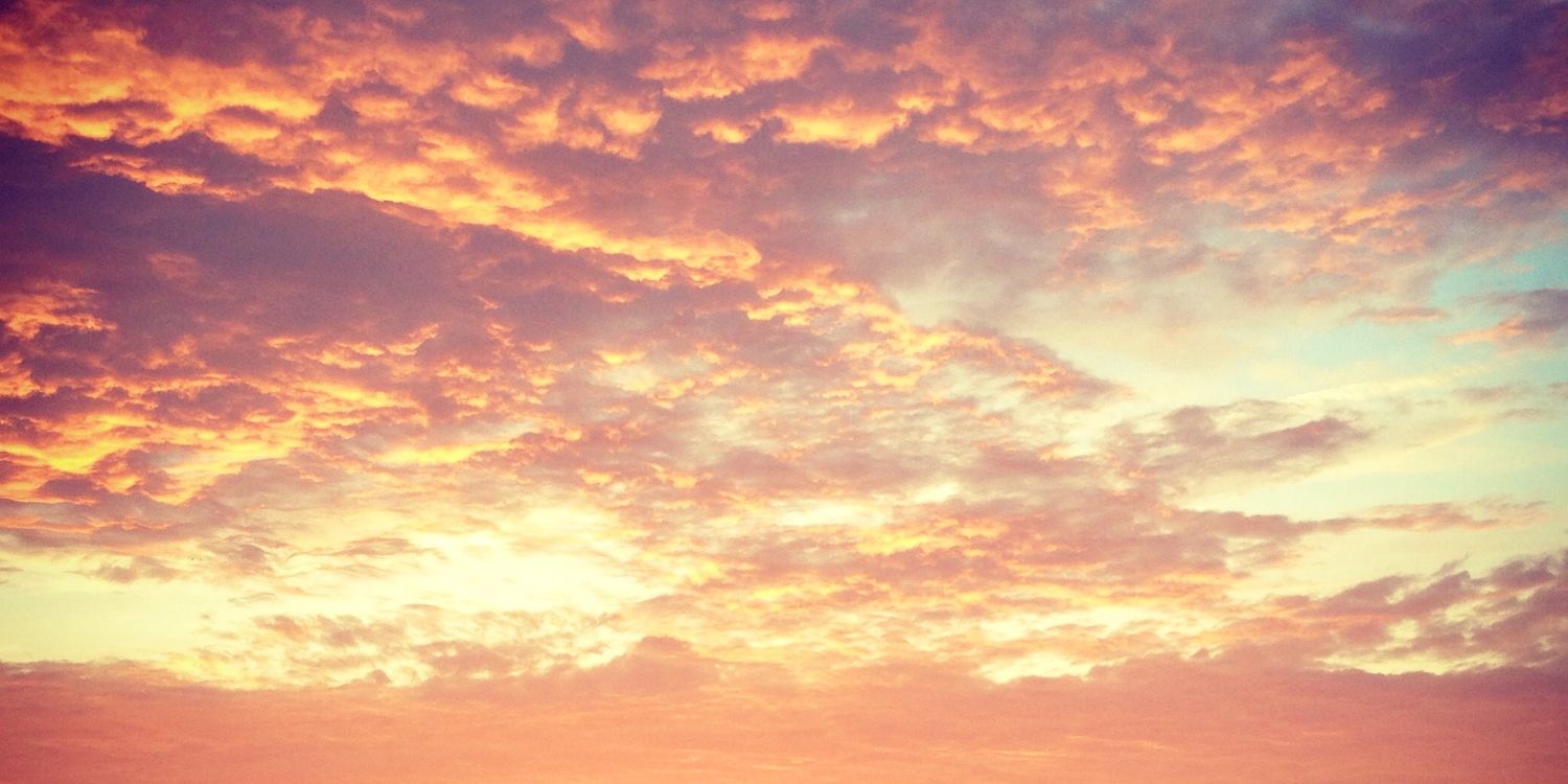 tae_ahn's profile banner image