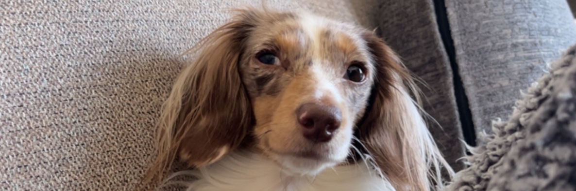 KenziLee98's profile banner image