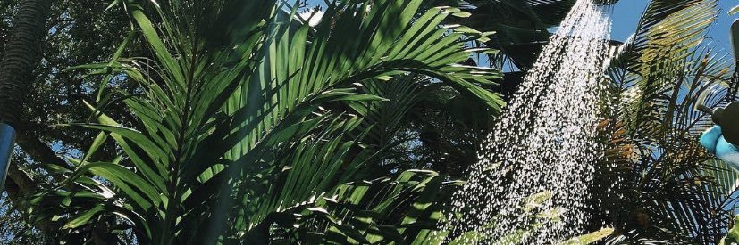 EgusiStew's profile banner image