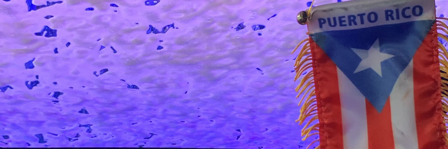 boricuari's profile banner image