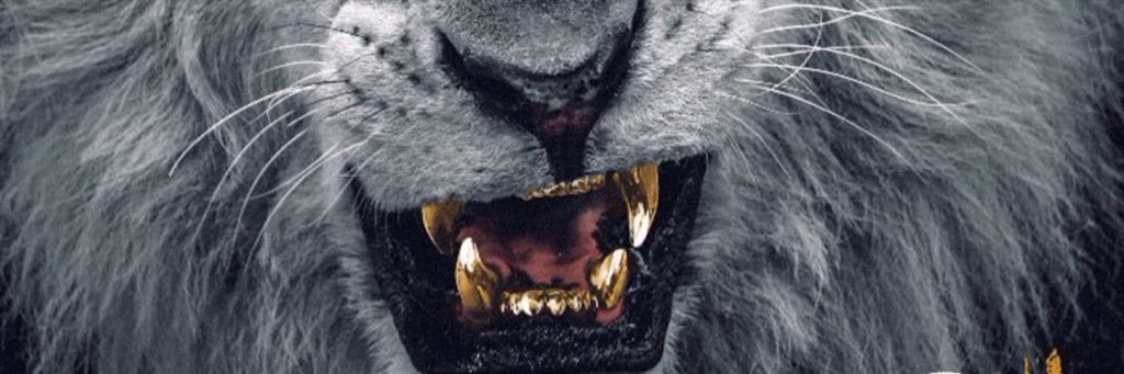 Nizzynate21's profile banner image