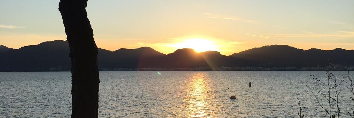 karadagumut's profile banner image