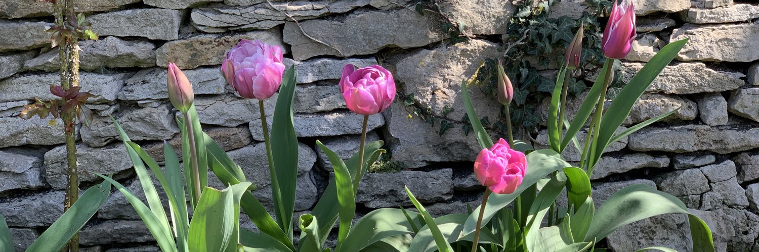 Georgina Campbell Flatter banner