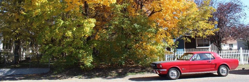 AlexNoonz's profile banner image