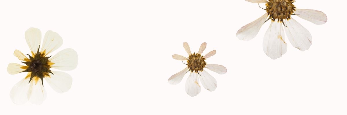 ysecvit's profile banner image
