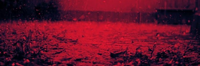 crzayrn's profile banner image