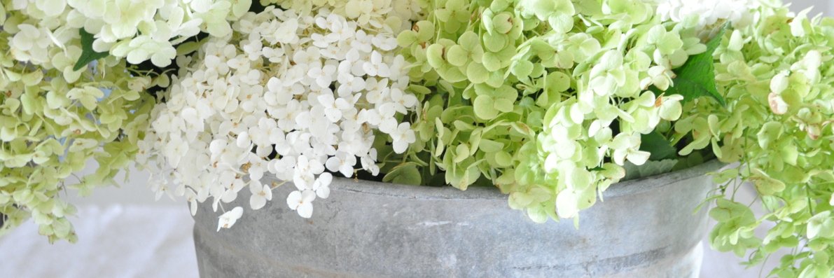 BeckyCunninghamHome banner