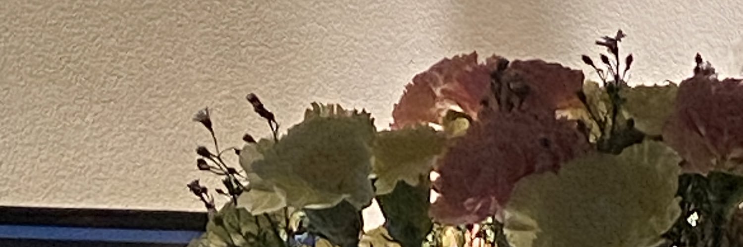 _joeymg's profile banner image
