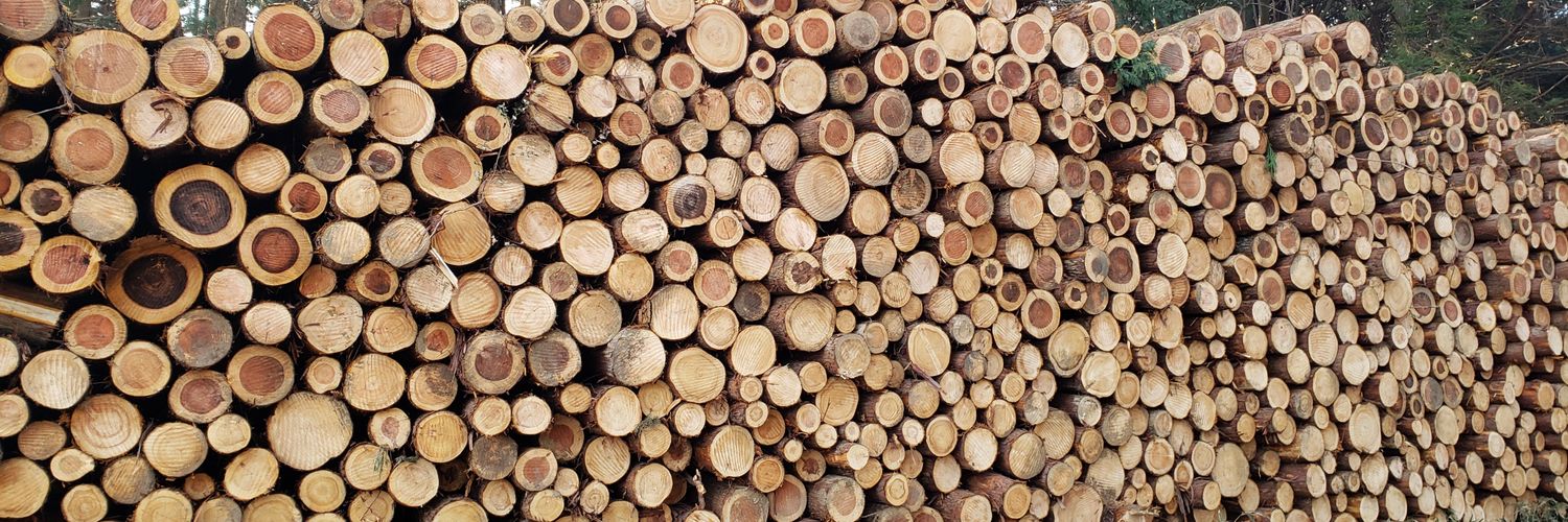 ∞森林男子MASA∞ banner