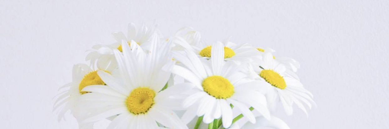 alasslmi's profile banner image