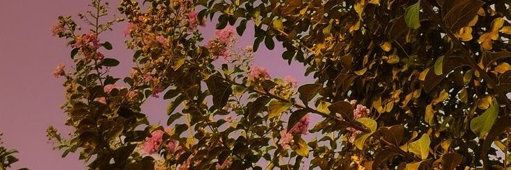 AngiethMc's profile banner image