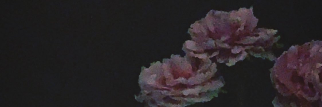 FrenchKCMY's profile banner image