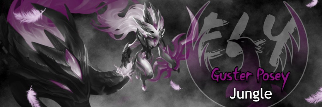 Michael Gustafson banner