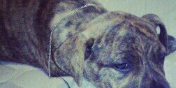 _OffDaShitzz's profile banner image