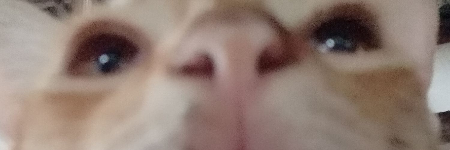 𝓶𝓪𝓼𝓽𝓮𝓻 𝓾𝓭𝓸𝓷 banner